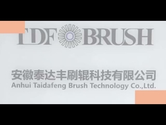 সম্পূর্ণ ভিডিও